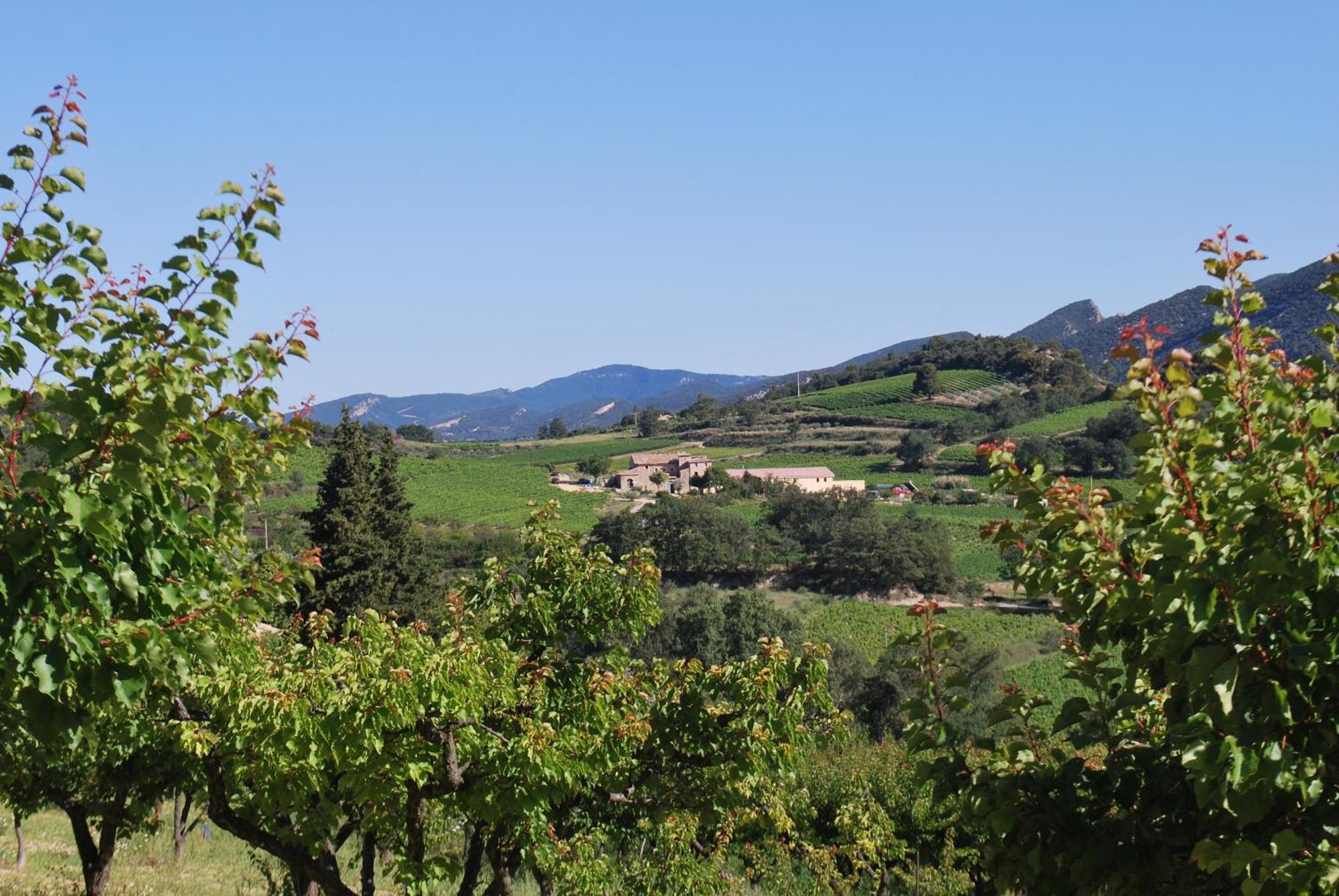 Bed and Breakfast Domaine De Provensol Venterol  Exterior foto