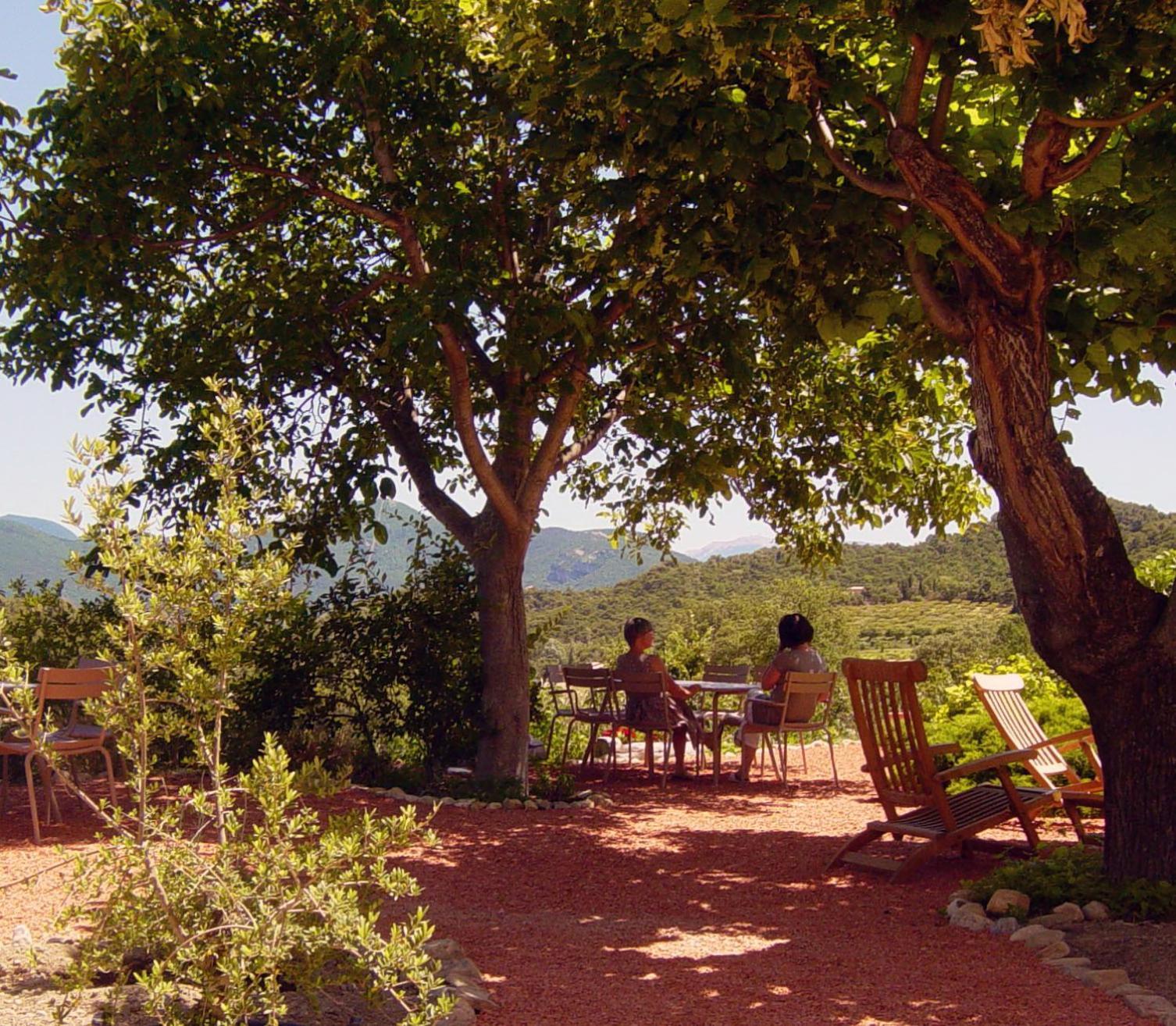 Bed and Breakfast Domaine De Provensol Venterol  Exterior foto