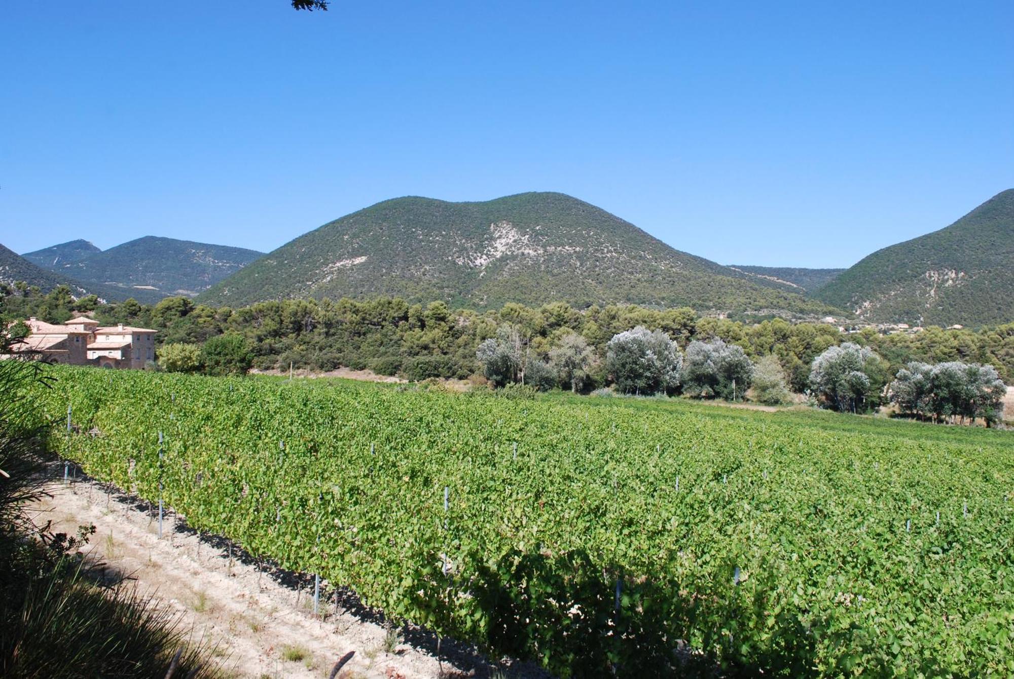 Bed and Breakfast Domaine De Provensol Venterol  Exterior foto