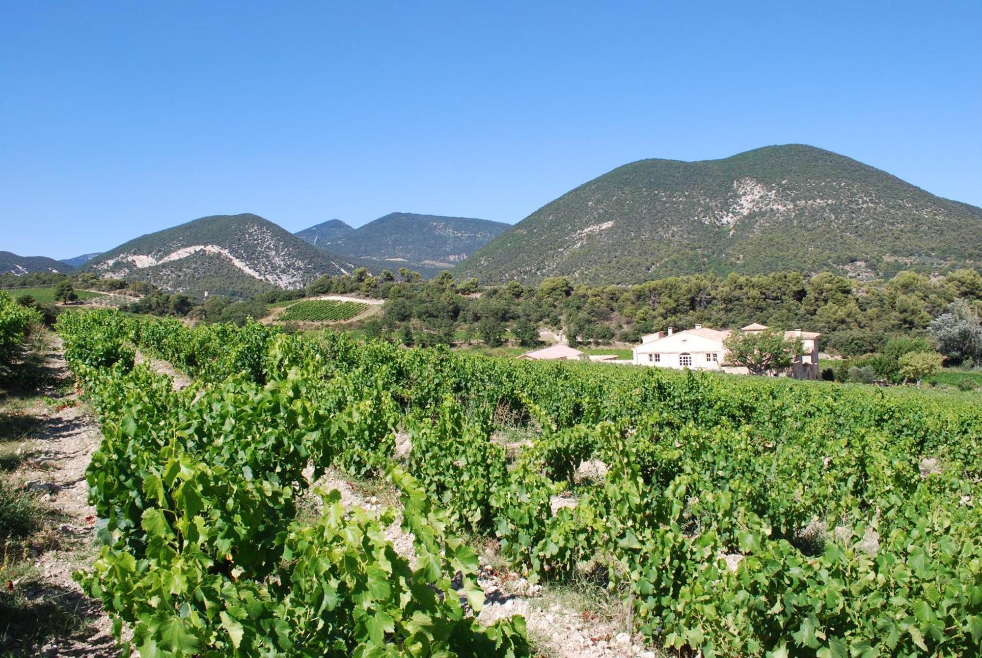 Bed and Breakfast Domaine De Provensol Venterol  Exterior foto