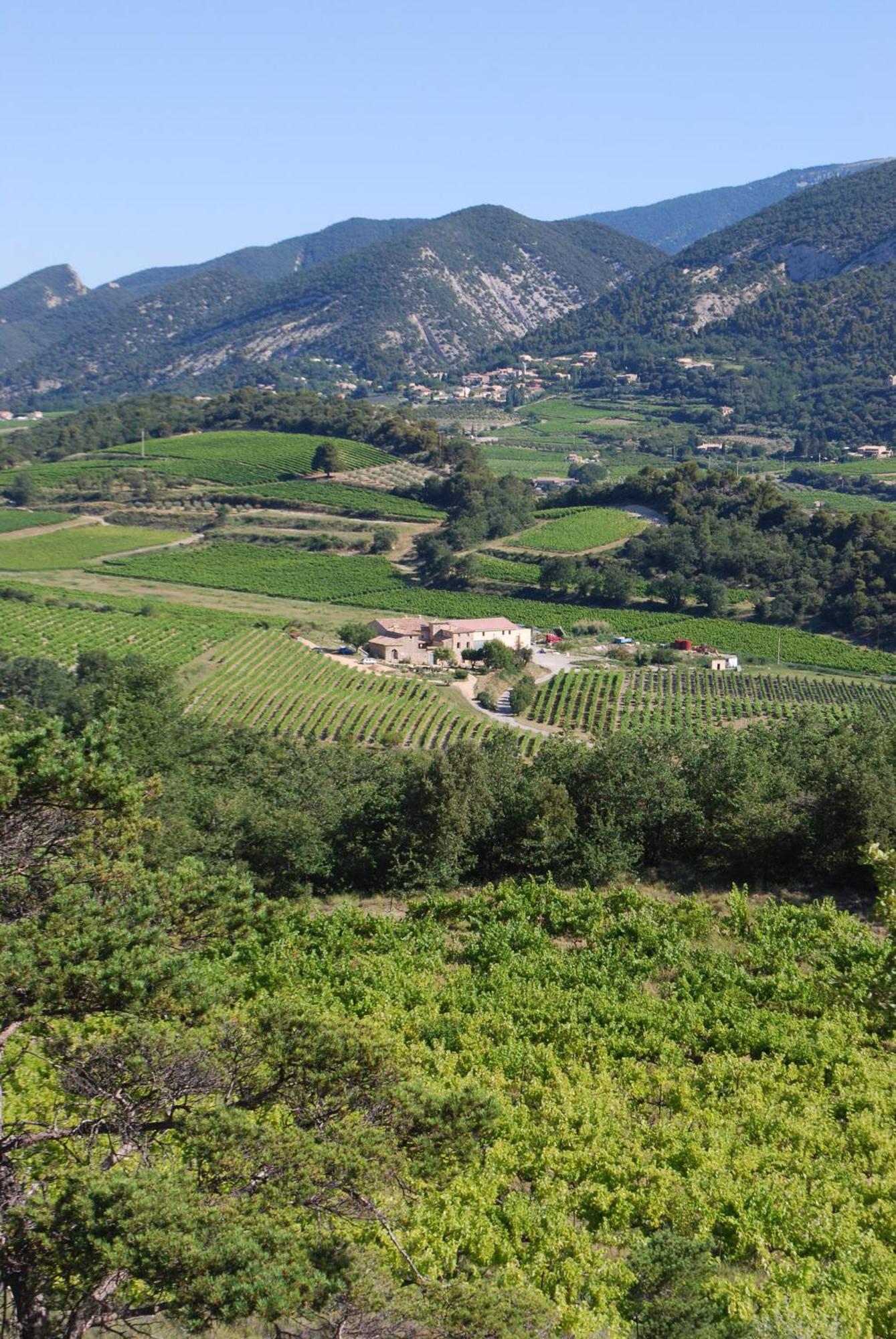 Bed and Breakfast Domaine De Provensol Venterol  Exterior foto